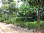 coutry heights damansara land for sale