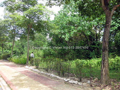 coutry heights damansara land for sale